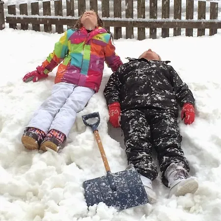 Prázdninový dům Haus Bayliss Zederhaus