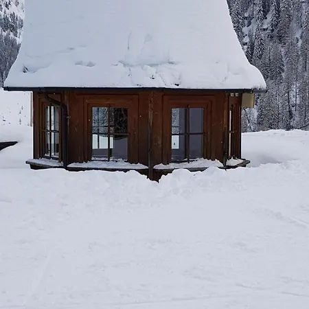 Haus Bayliss * Zederhaus
